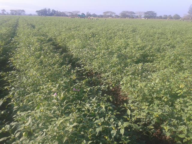 20140214_080923.jpg