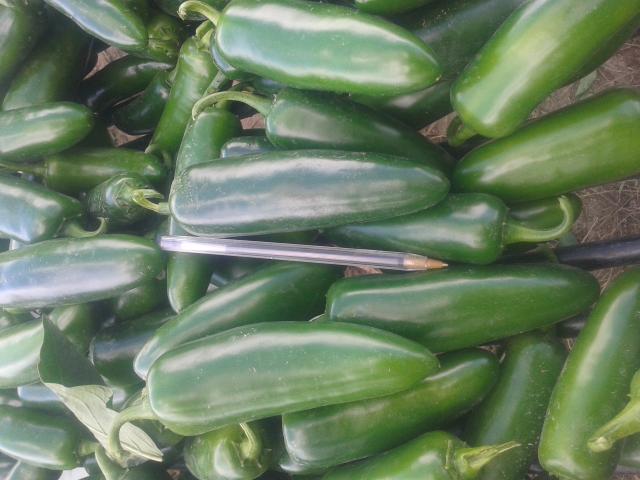 20140911_134541.jpg